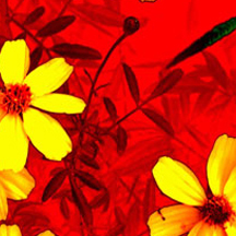 自助购买便捷的网页在线DDOS压力测试